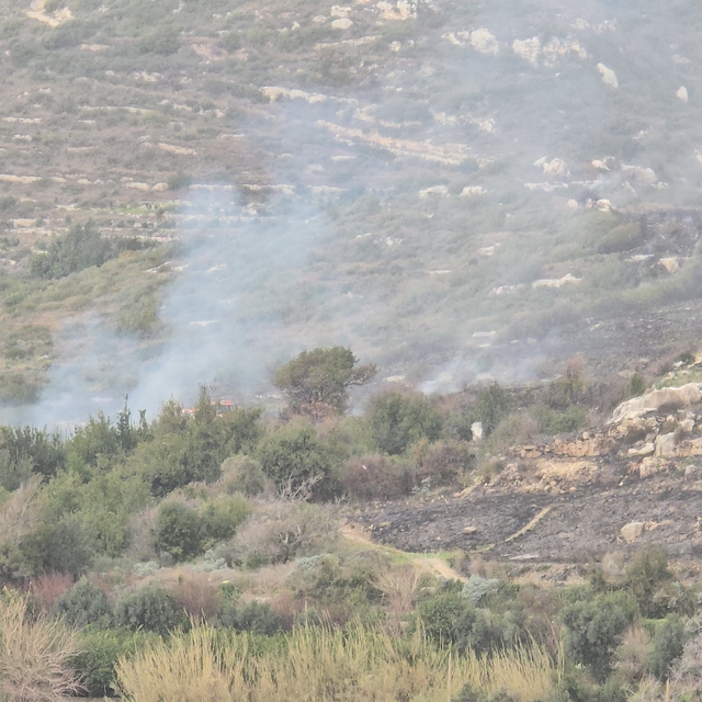 Hatay'da yangın; turistik yerler geçici olarak ziyaretçilere kapatıldı (2)