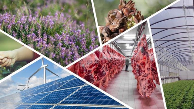 Denizli'de tarımsal kalkınmaya 82 milyonluk hibe desteği