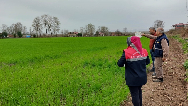 Çarşamba'da fenolojik gözlem ve destekleme çalışmaları