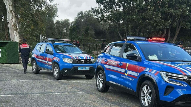 Bodrum'da 2 köpeğin öldürülmesi olayında şüpheli tutuklandı