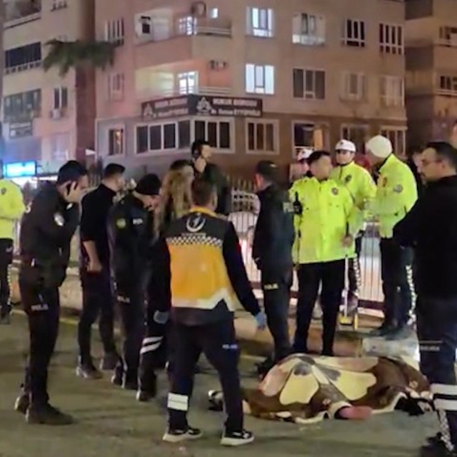 Şanlıurfa'da otomobilin çarptığı kadın öldü