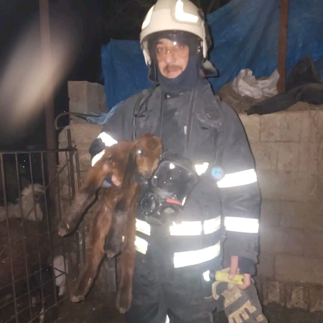 Hatay'da ahırda korkutan yangın