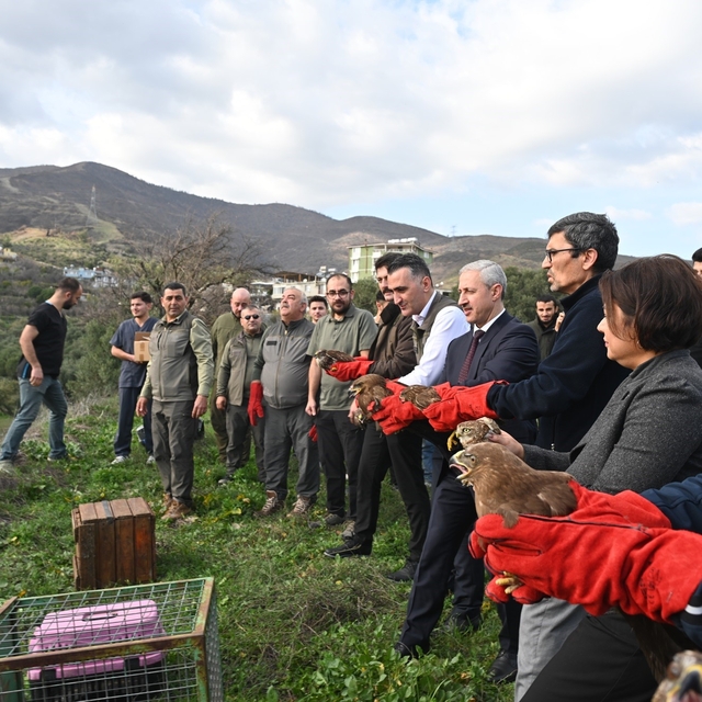 Tedavisi tamamlanan yırtıcı kuşlar özgürlüğe kanat çırptılar