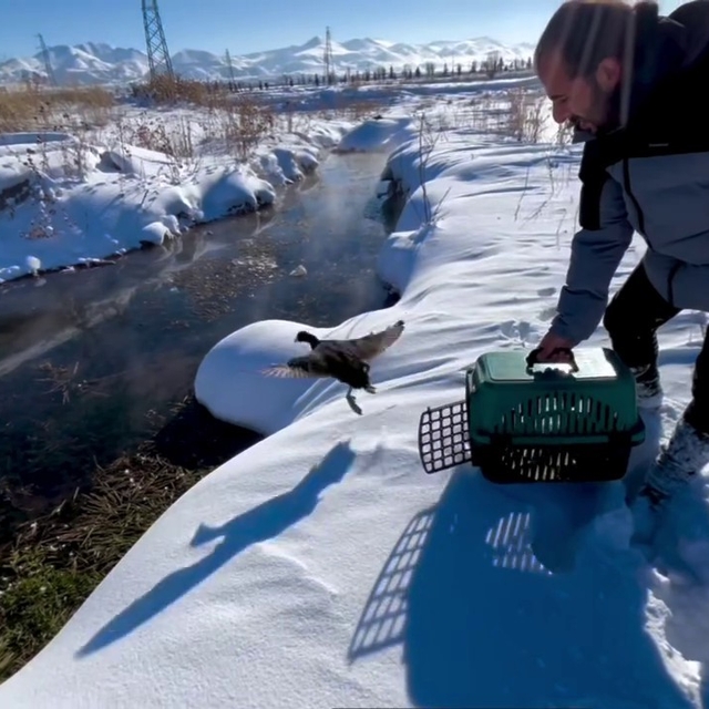 Soğuk hayata mola verdirdi