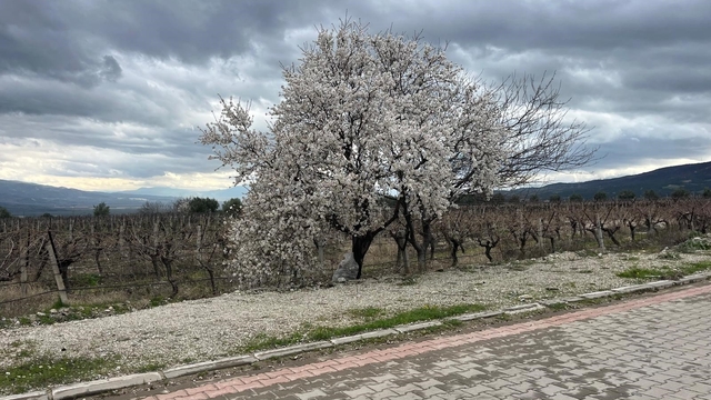 Bahar renkleriyle geliyor