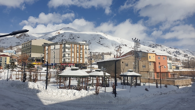 Başkale'de kar yağışı