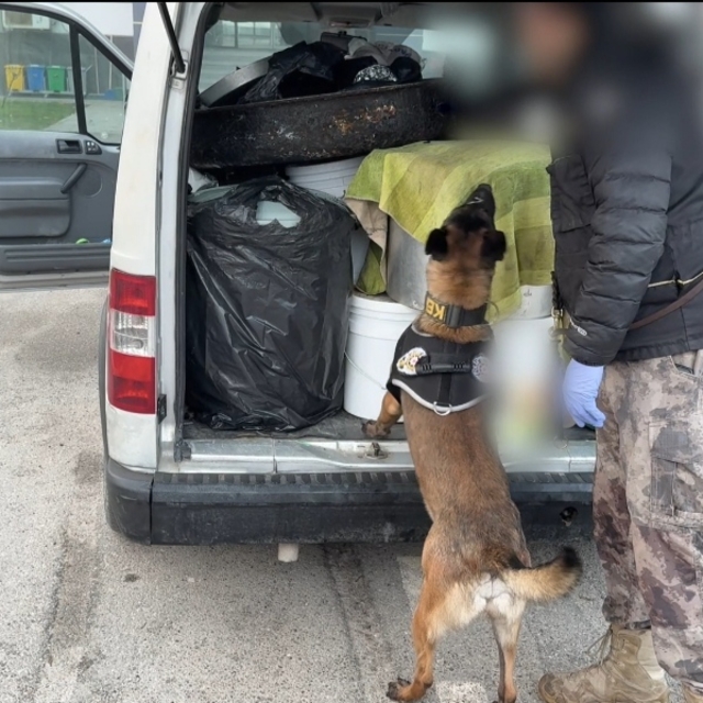 Kızartma yağlarının içine zulalanmış 45 kilo uyuşturucuyu 'Hector' buldu