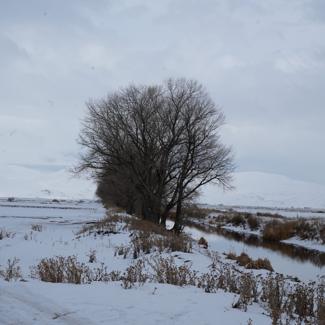 Meteorolojiden kuvvetli fırtına uyarısı