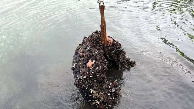 Kocaeli'de deniz dibinden 50 lastik çıktı