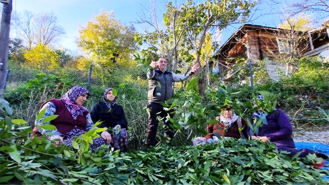 Orman köylüsü ekmeğini topraktan çıkartıyor