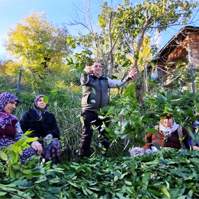 Orman köylüsü ekmeğini topraktan çıkartıyor