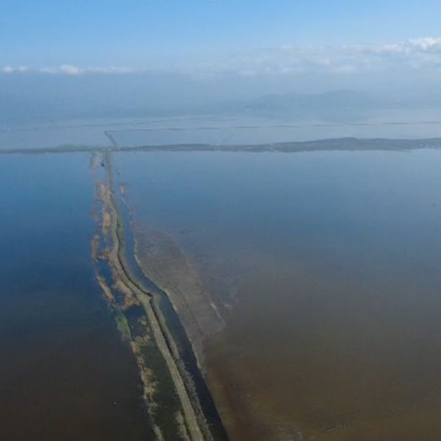 Kahramanmaraş'ta binlerce dönüm tarım arazisi sular altında kaldı
Sular alt...
