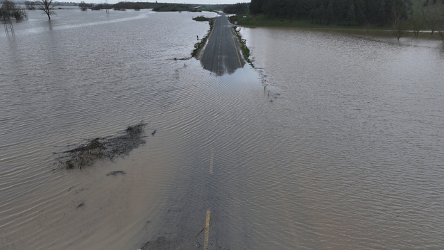 Edirne'de debisi yükselen Meriç Nehri arazilere yayıldı
