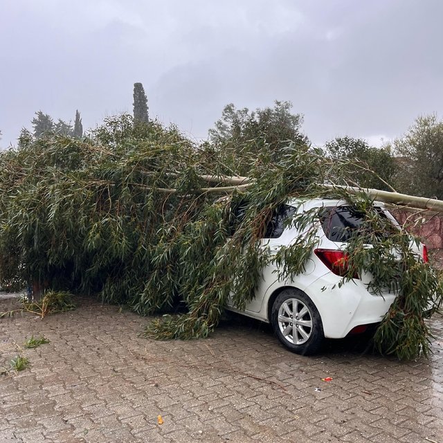 Adana'da sağanak ve şiddetli rüzgar hayatı olumsuz etkiledi