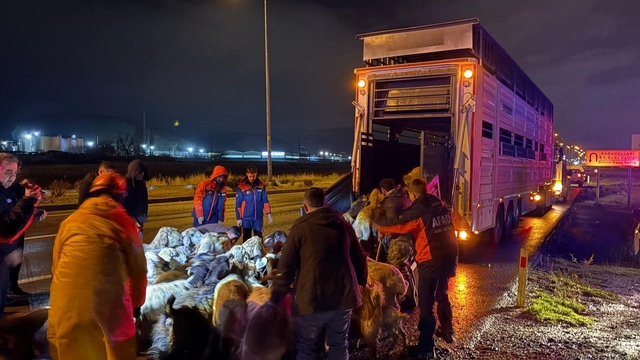 Kayseri'de taşkın riski: 200 hayvan tahliye edildi