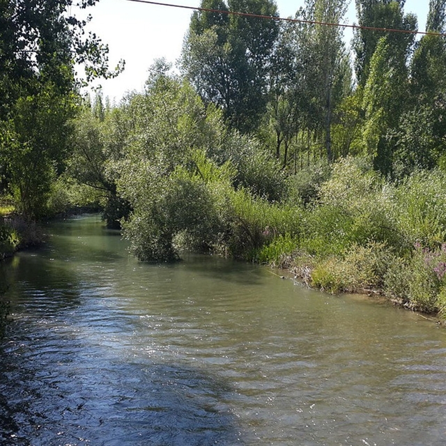 Tohma Çayı'nın ekolojik sağlığı bilimsel olarak ortaya kondu