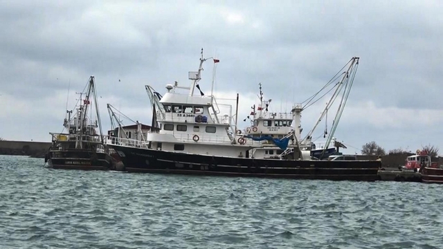 Samsun'da 20 bin ton su ve hayvansal ürün ihracatı