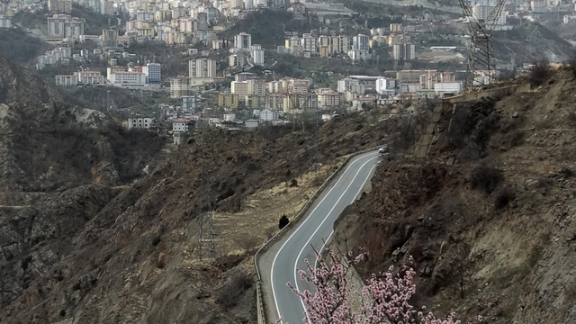 Artvin'de meyve ağaçları çiçek açtı