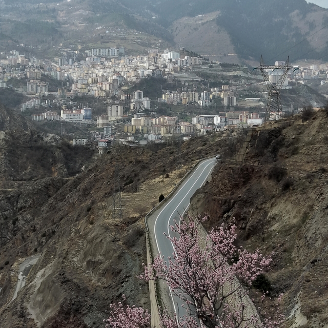 Artvin'de meyve ağaçları çiçek açtı