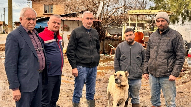 Aşırı yağışlar sonrası Söke'de hayvanlar güvenli bölgelere alındı
