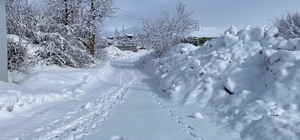 Karlıova'da kar yağışı etkisini sürdürüyor