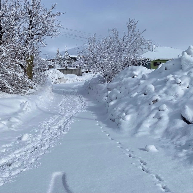 Karlıova'da kar yağışı etkisini sürdürüyor