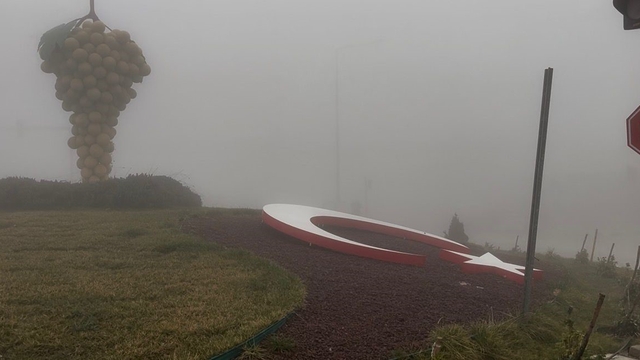 Besni'de yoğun sis hayatı olumsuz etkiledi