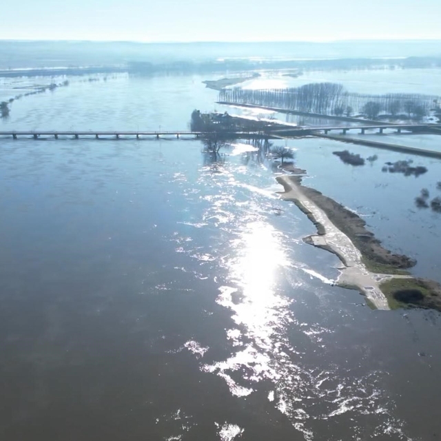 Edirne'de Meriç Nehri taştı, çok sayıda hobi bahçesi su altında kaldı
Süvar...