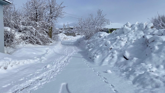 Karlıova'da kar yağışı etkisini sürdürüyor