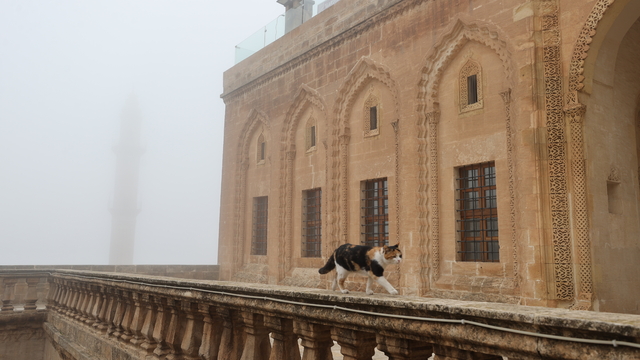Mardin'de sis etkili oldu