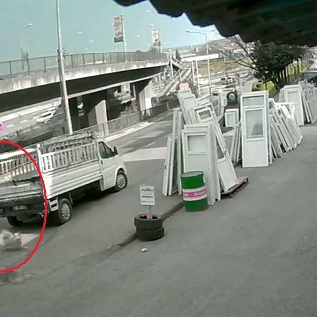 Köpekten kaçarken otobüsün çarptığı üniversiteli ağır yaralandı, kaza kamer...