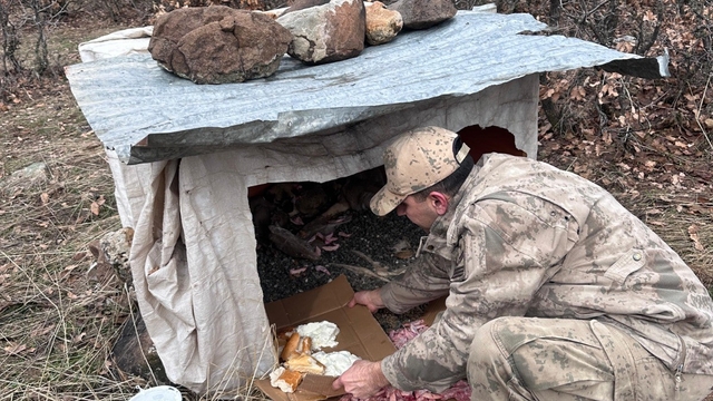 Köy yoluna bırakılan yavru köpeklere jandarmandan şefkat eli