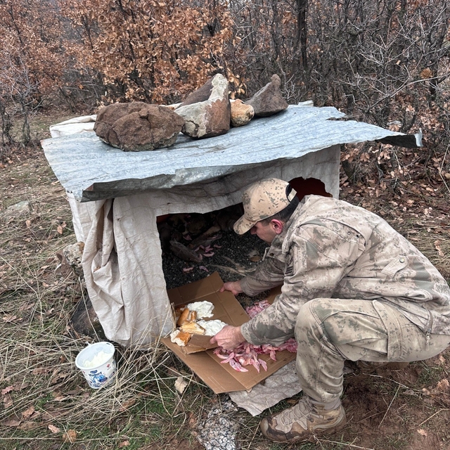 Köy yoluna bırakılan yavru köpeklere jandarmandan şefkat eli