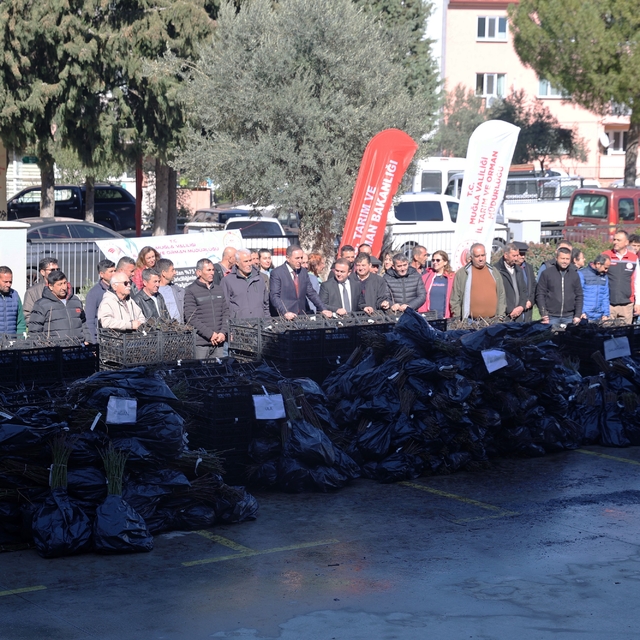 50 bin adet üzümsü fidan dağıtıldı