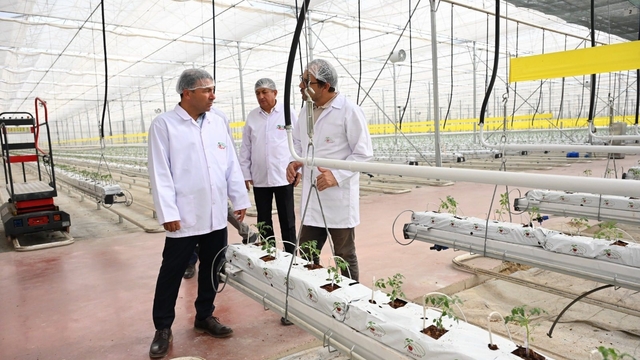 Denizli'nin 2025 bitkisel üretim tablosu yüz güldürdü