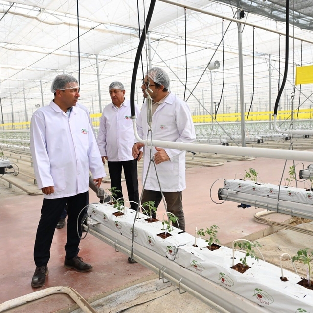 Denizli'nin 2025 bitkisel üretim tablosu yüz güldürdü