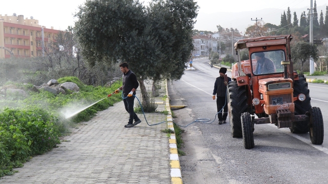 Bozdoğan'da yabani ot mücadelesi