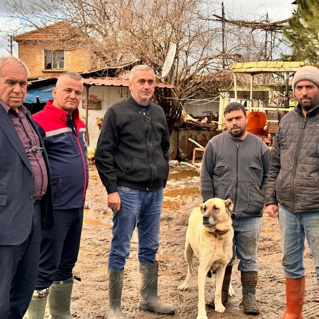 Söke Ovası'nda yağış sonrası zarar tespit çalışmaları