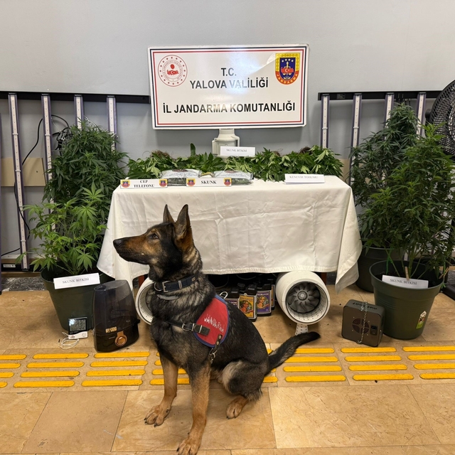 Yalova'da evi uyuşturucu serasına çeviren 2 zanlı tutuklandı