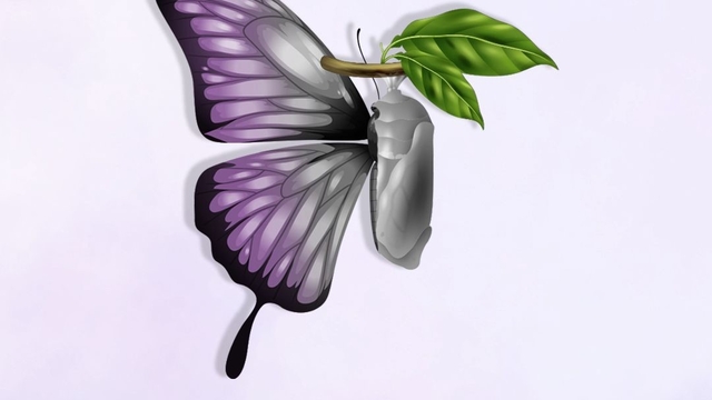 Didim Belediyesi'nden Ergenlik ve İlk Gençlikte Kadın Sağlığı Eğitimi