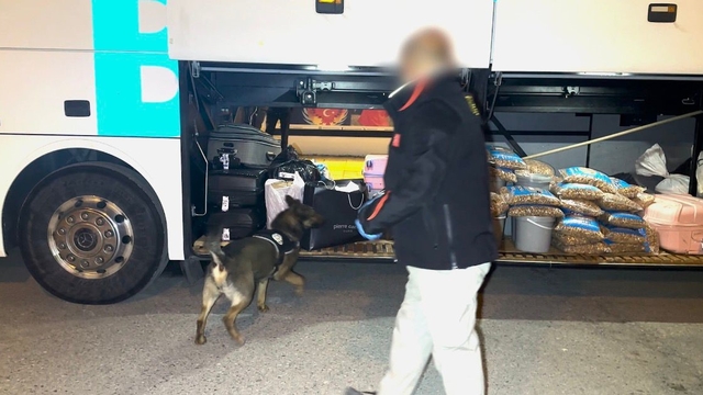 Batman'da narkotik köpeği "Hector" zehir tacirlerine geçit vermedi