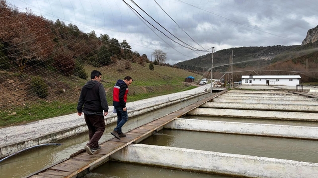 Çavdarhisar'da su ürünleri üretim tesislerinde denetim
