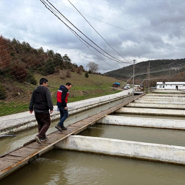 Çavdarhisar'da su ürünleri üretim tesislerinde denetim