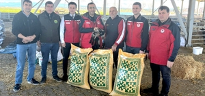 Ezine'de taşkından etkilenen yetiştiricilere yem desteği