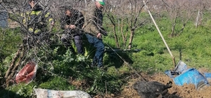 Denizli'de foseptik çukuruna düşen inek itfaiye ekiplerince kurtarıldı