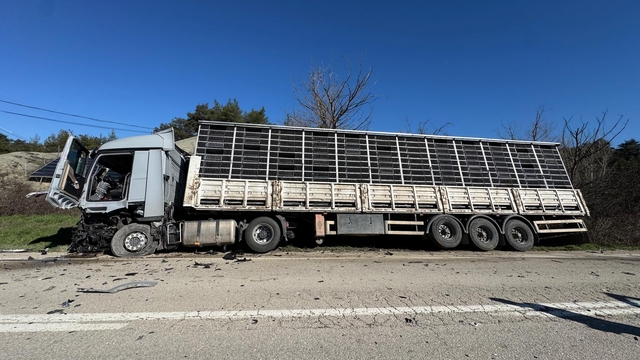 Bolu'da tırla çarpışan otomobilin sürücüsü öldü
