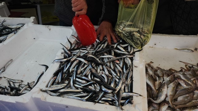 Zonguldak'ta limandan 500 ton hamsi çıktı