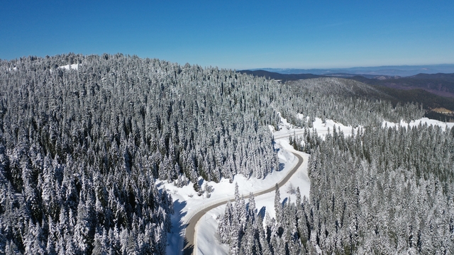 Ilgaz Dağı'nda kar yağışının ardından beyaza bürünen ormanlar dronla görüntülendi