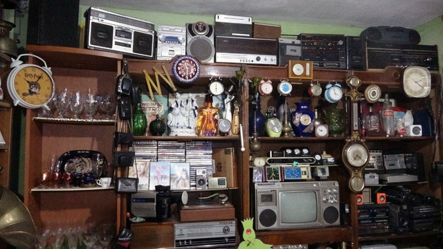 Antika tutkusu ile bodrum katını müzeye çevirdi