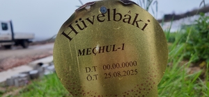 Kimsesiz cenazelerin ardından kalan sarsıcı hikayeler
İsimleri "meçhul" ama...